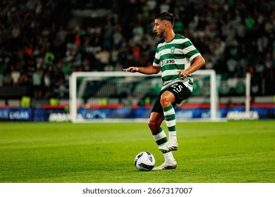 半场：多特1-0霍芬海姆，扬-科托助攻布兰特破门